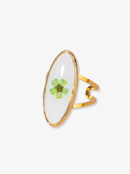 Spring Adjustable Ring Set