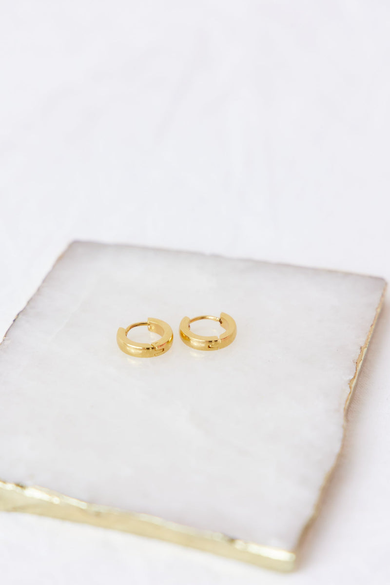 18k Gold Plated No Doubt Earrings