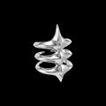 Exoskeleton Ring