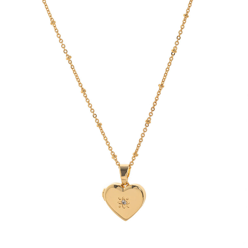 Butterfly Shell Locket Necklace
