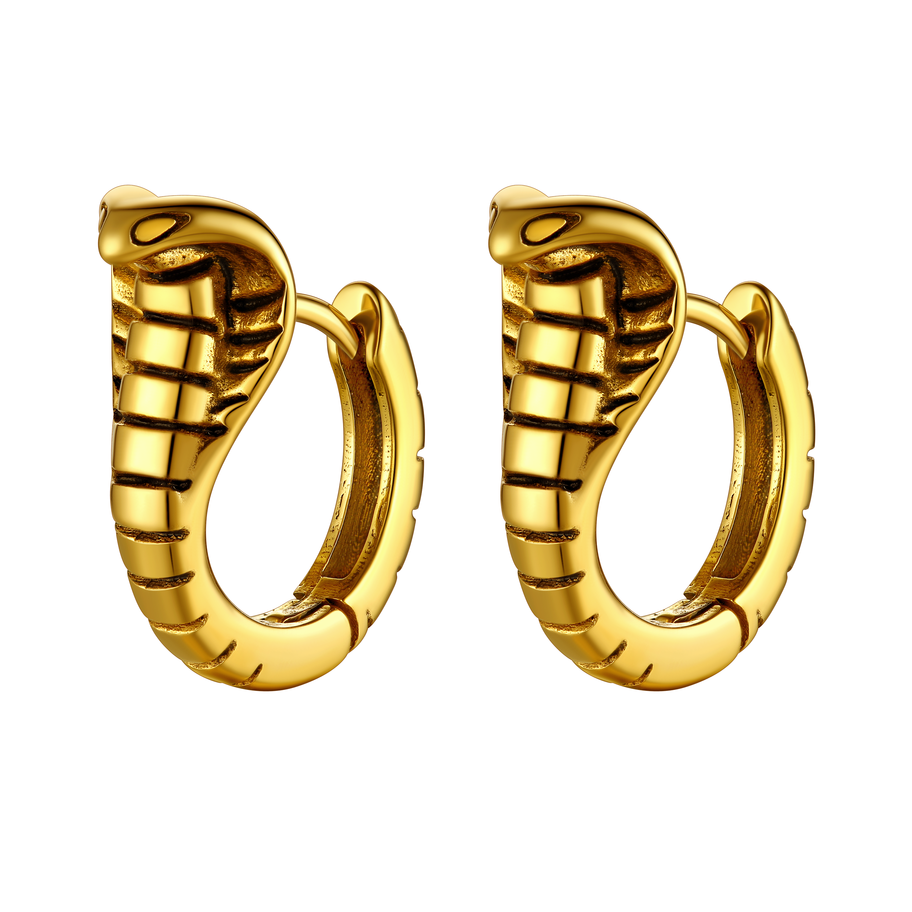 Gothic Punk Snake Hoop Earrings for