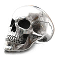 Cracked Skull Head Rock Style Rings / Skull Jewelry for &