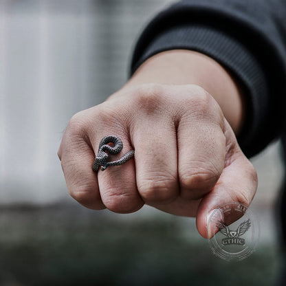 Entwined Snake Stainless Steel Ring