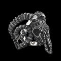 Goat Skull Ring