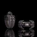 Gothic Skull Head Spine Sterling Silver Ring