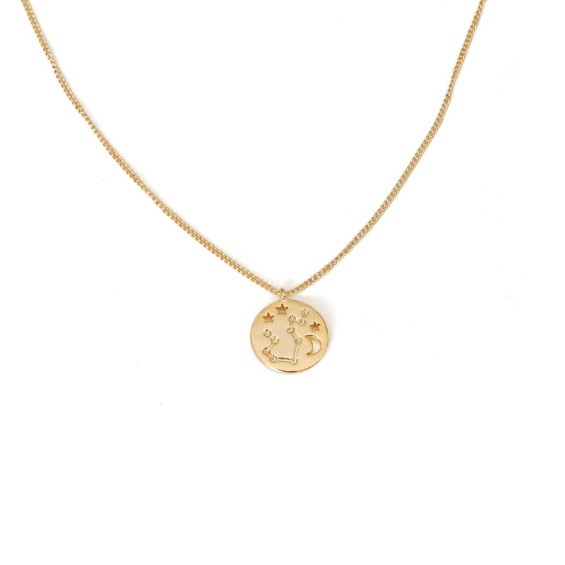 Zodiac Coin Necklace