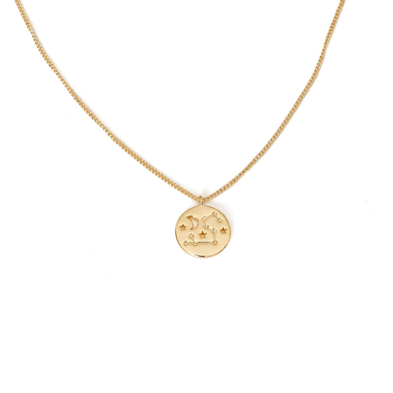 Zodiac Coin Necklace